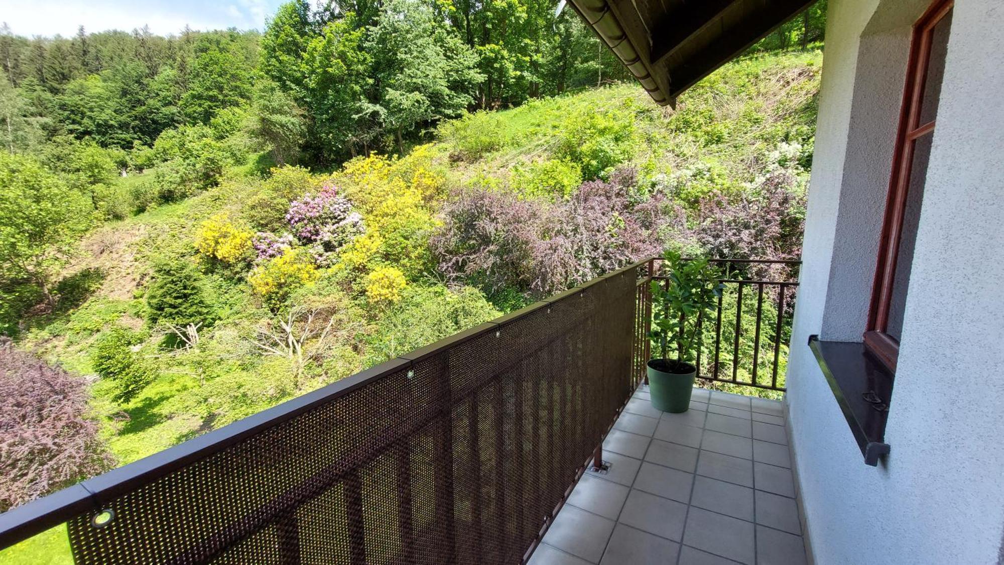 Apartament Miedzygorski Miedzygorze Exterior foto
